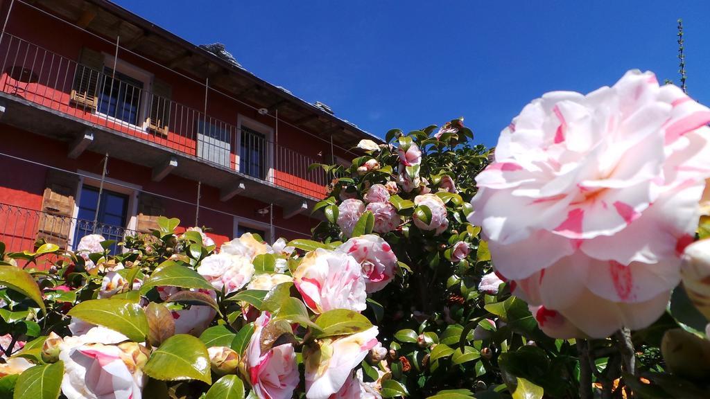 Bed & Breakfast Di Sotto, House&breakfast *